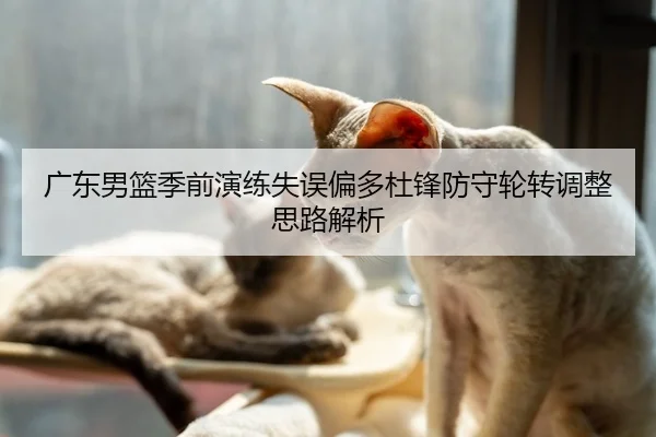 广东男篮季前演练失误偏多杜锋防守轮转调整思路解析