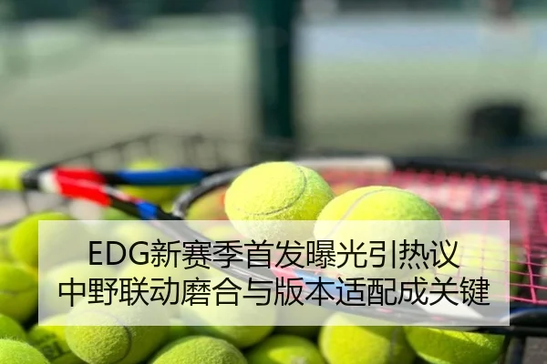 EDG新赛季首发曝光引热议 中野联动磨合与版本适配成关键