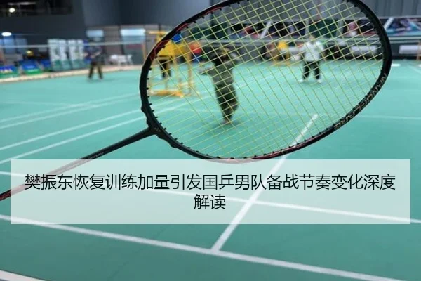 樊振东恢复训练加量引发国乒男队备战节奏变化深度解读